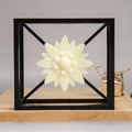 Edelweiss Cube - Modern Home Decor-0