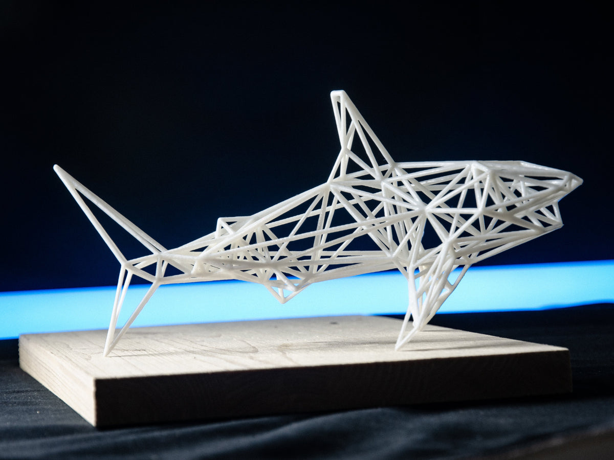 White Shark-1
