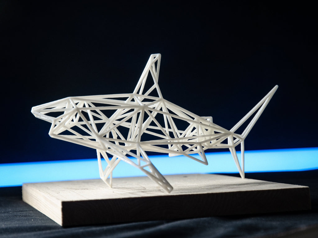 White Shark-2