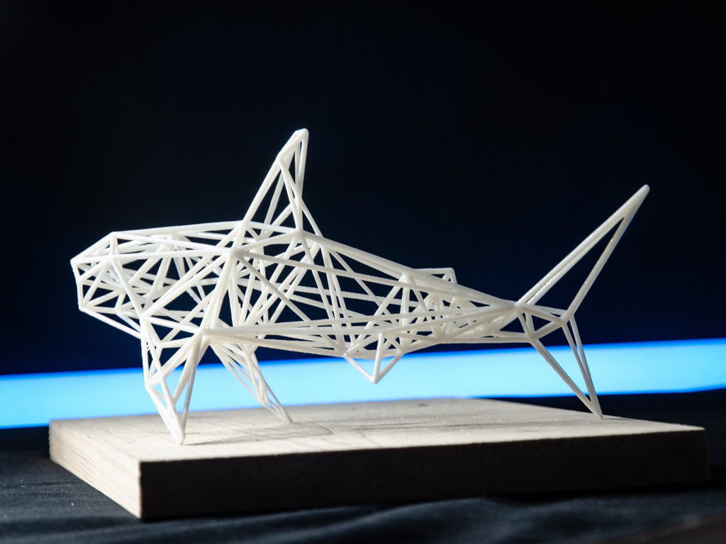White Shark-3