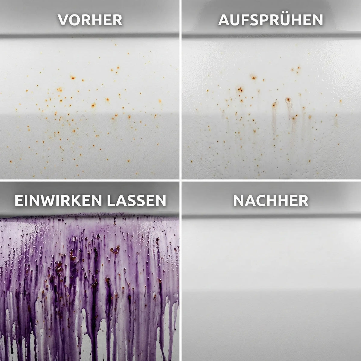 Flugrost Entferner-2