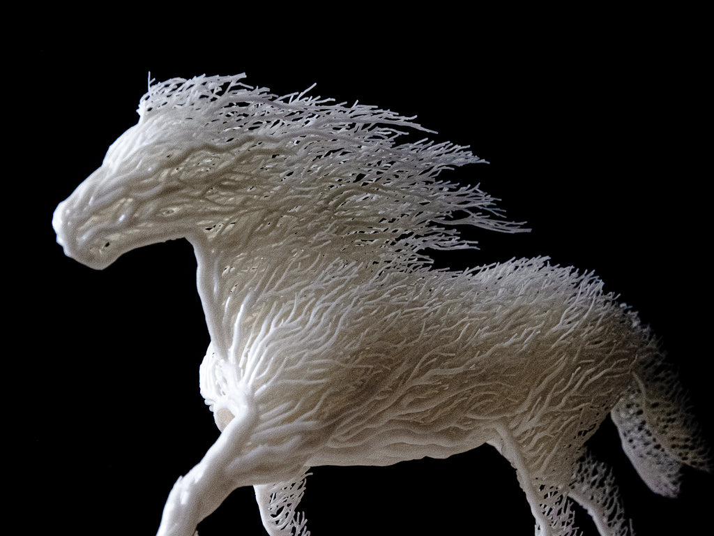 White Grown Horse-2