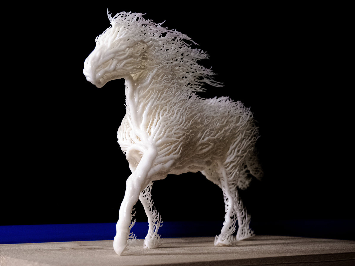 White Grown Horse-3