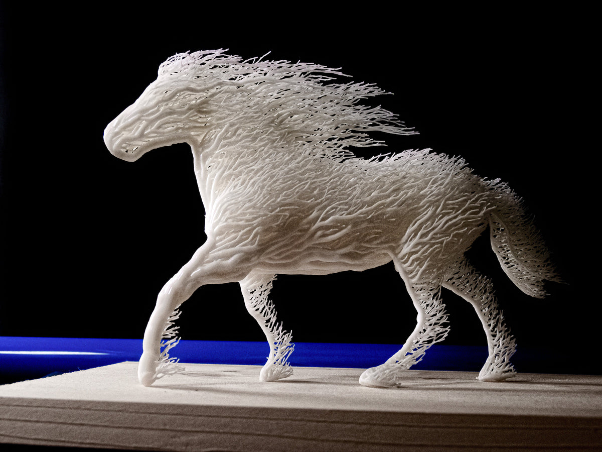 White Grown Horse-4