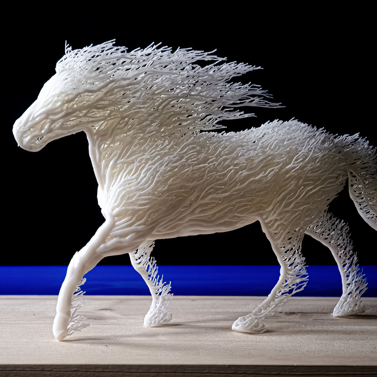 White Grown Horse-0