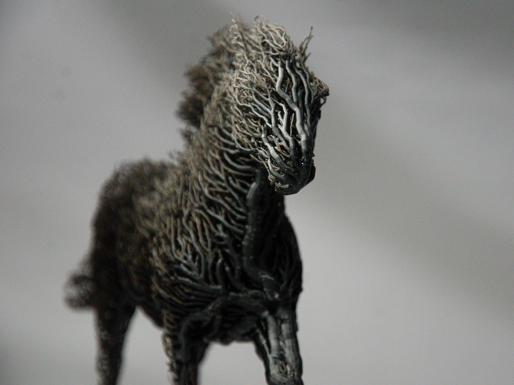 Black Grown Horse-2