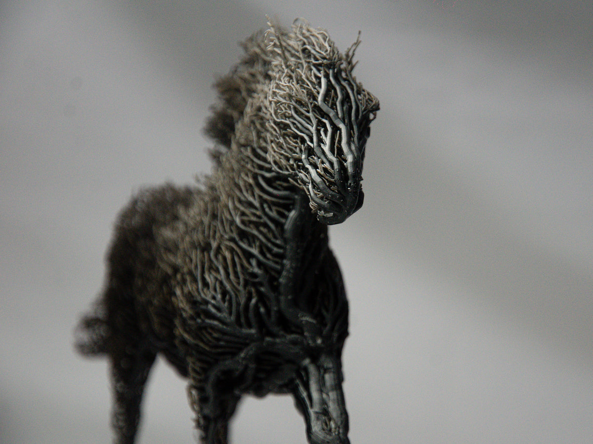 Black Grown Horse-2