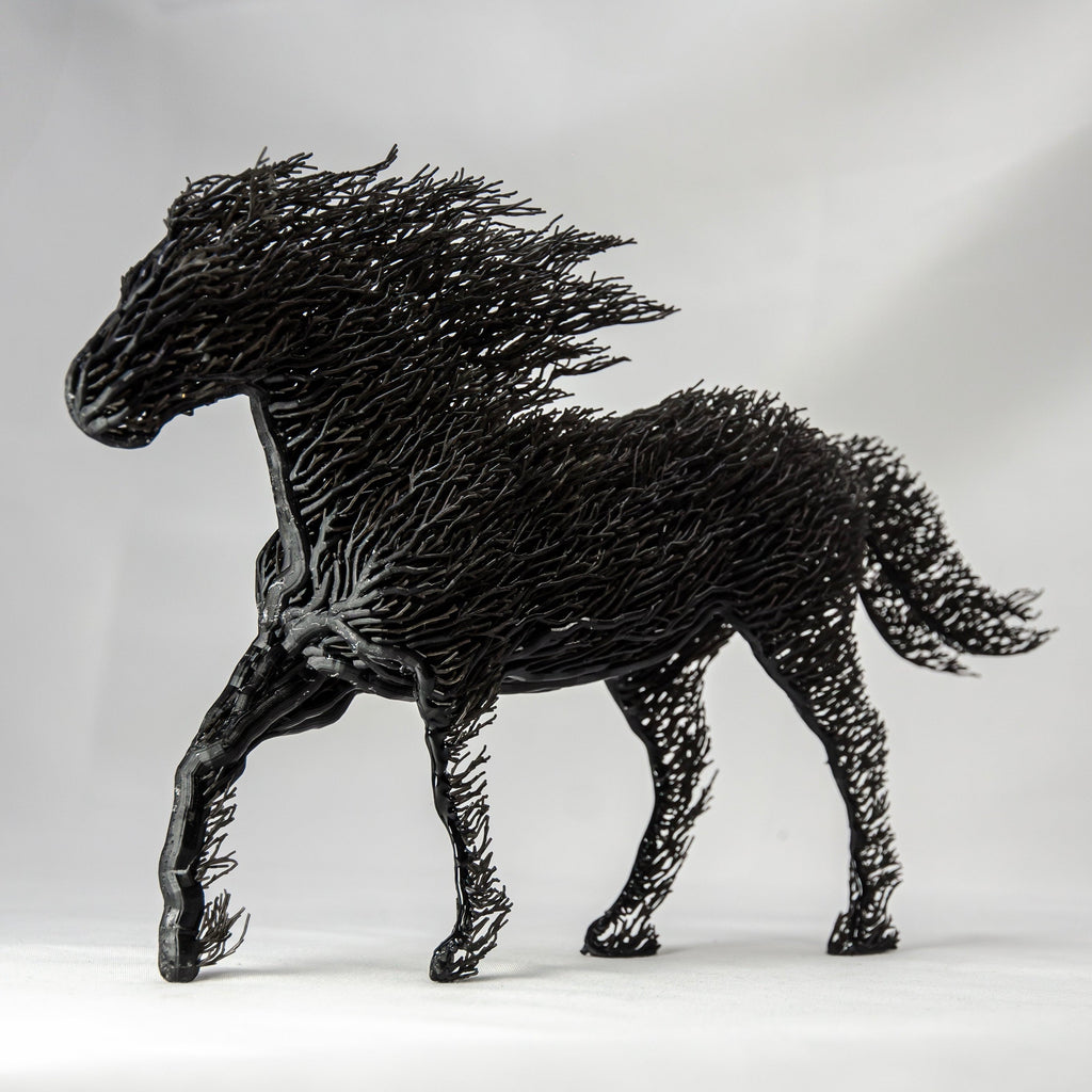Black Grown Horse-0