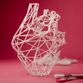 Human Heart Medical Decor-0