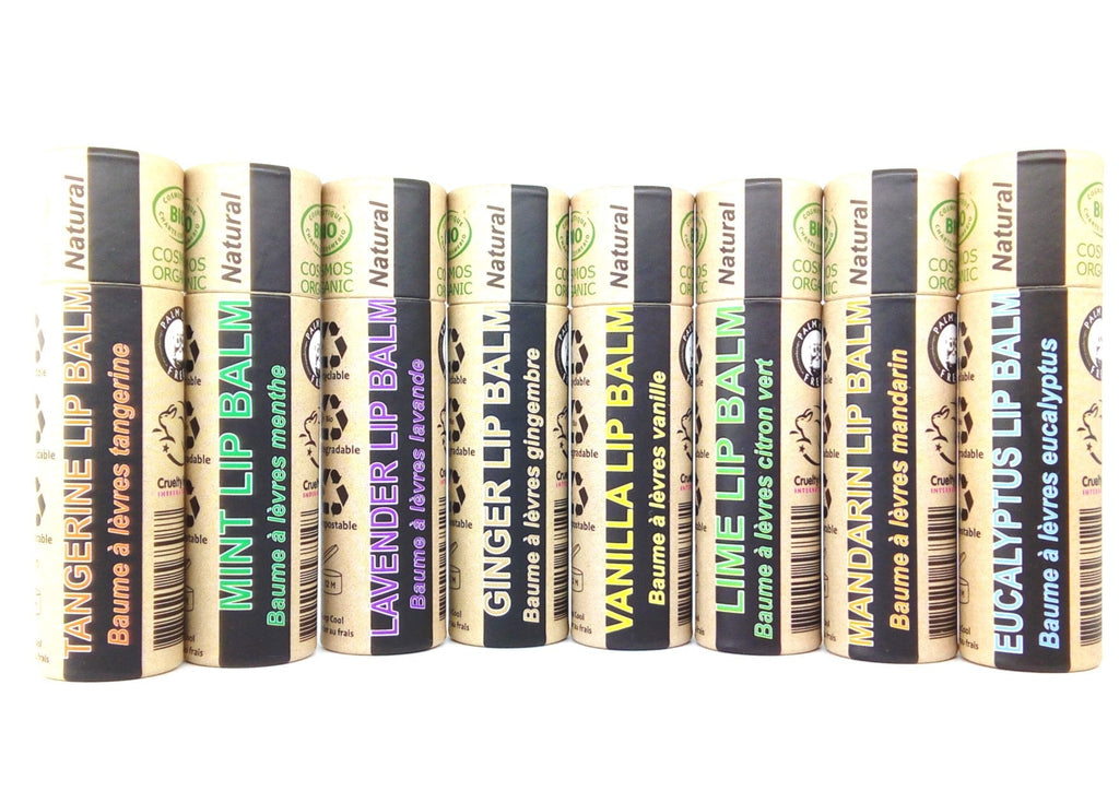 Organic Eucalyptus Lip Balm -  1 piece - 100% paper packaging-1