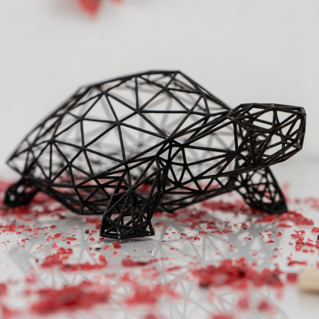 Wireframe Design Turtle Sculpture-0