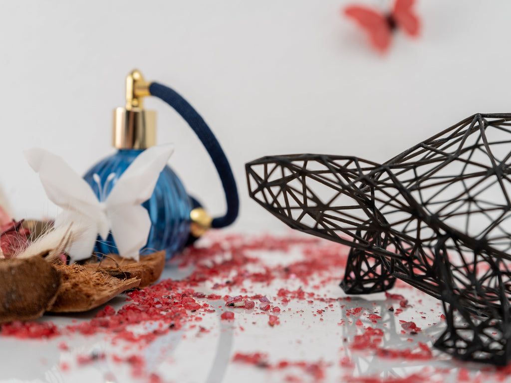 Wireframe Design Turtle Sculpture-2