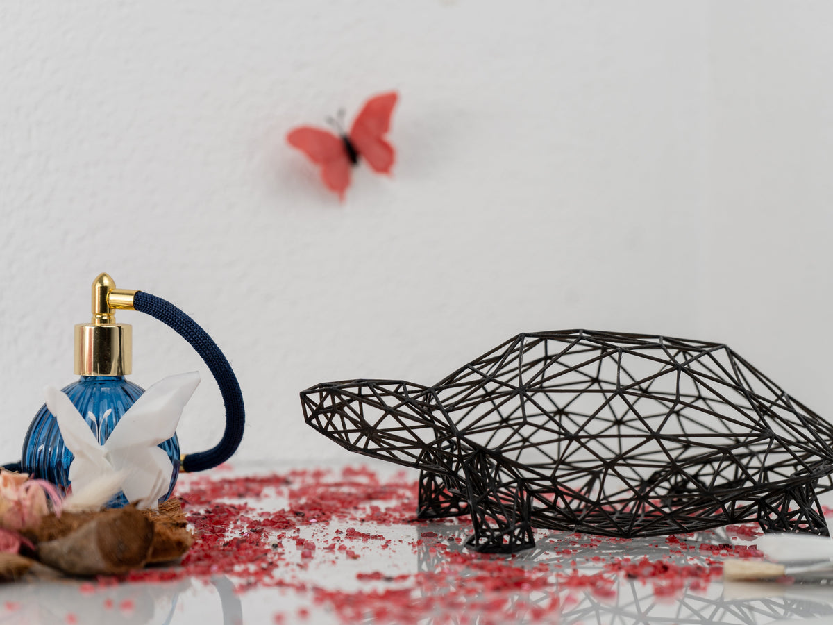 Wireframe Design Turtle Sculpture-4