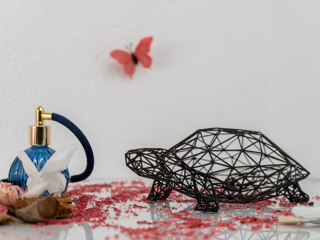 Wireframe Design Turtle Sculpture-3