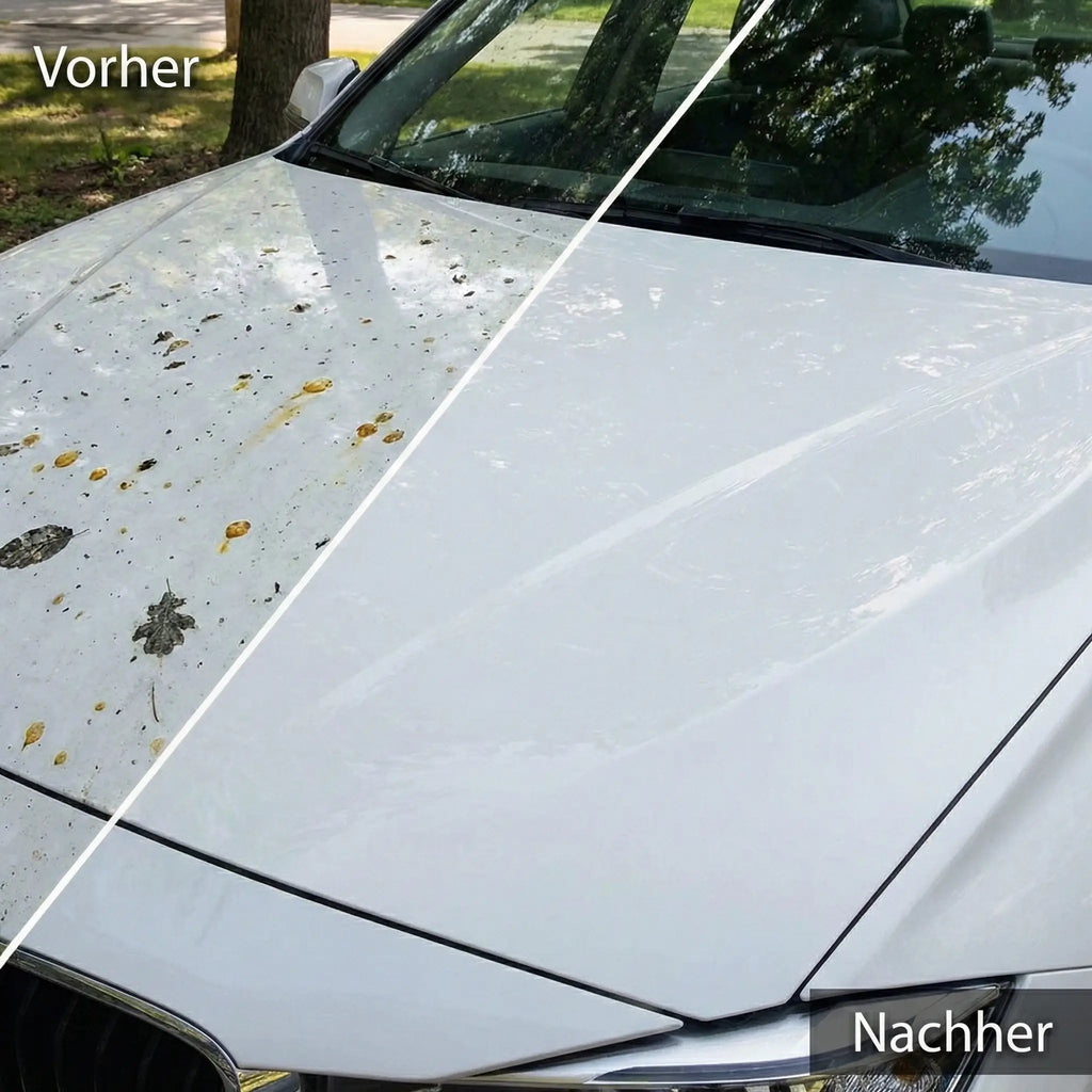 Vorreiniger-2